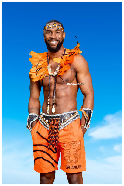 Tiger Prince Mens Costume